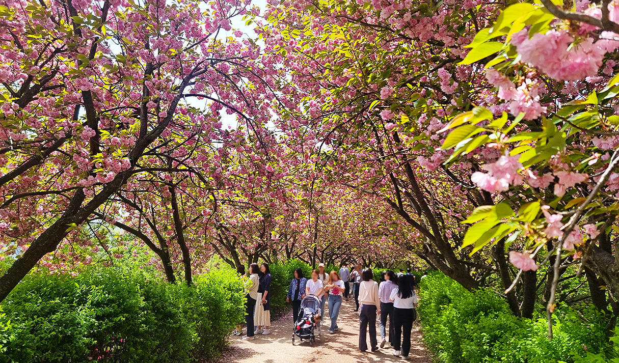 전주 완산칠봉 꽃동산