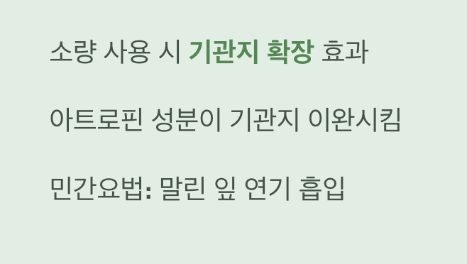 기관지를 넓혀주는 &amp;#39;천식약&amp;#39;으로서의 효능