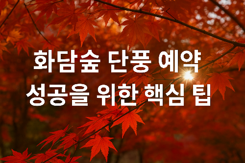 2025 화담숲 예약 성공 팁ㅣ모노레일 이용부터 관람 동선까지