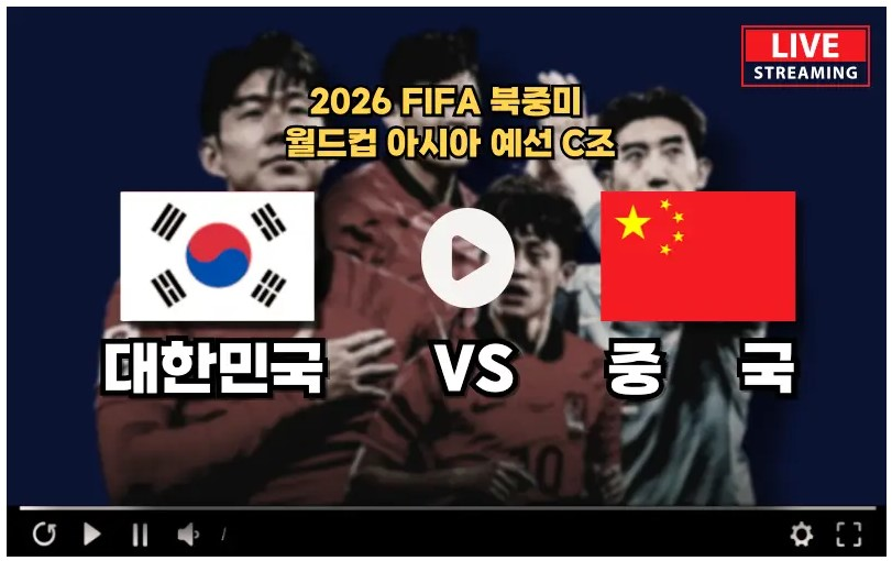 월드컵 축구 2차 예선 한국 중국 경기
