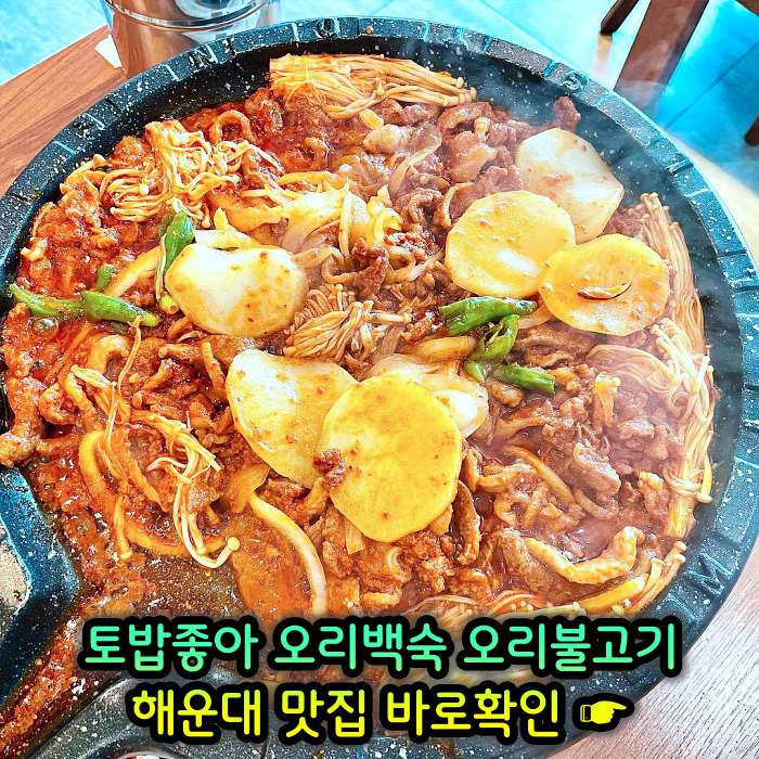 부산 해운대 맛집 무항생제 1등급 오리 백숙