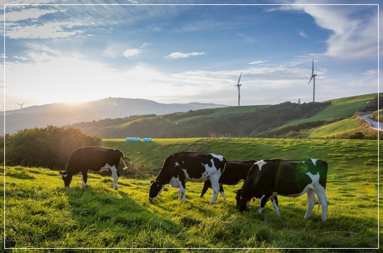 평창 가볼만한곳 베스트10 삼양대관령목장(삼양라운드힐)
