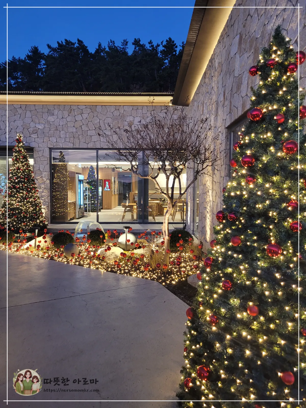 기장끝집-일광점-입구들어가는길-분수-크리스마스트리