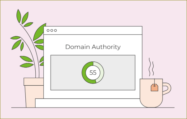도메인 점수 확인