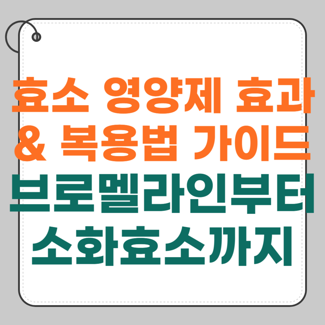 효소-영양제-효과와-복용법-가이드-브로멜라인부터-소화효소까지