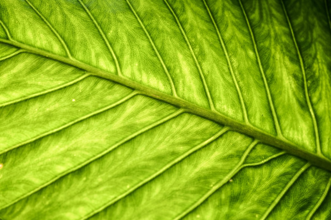 Green technology