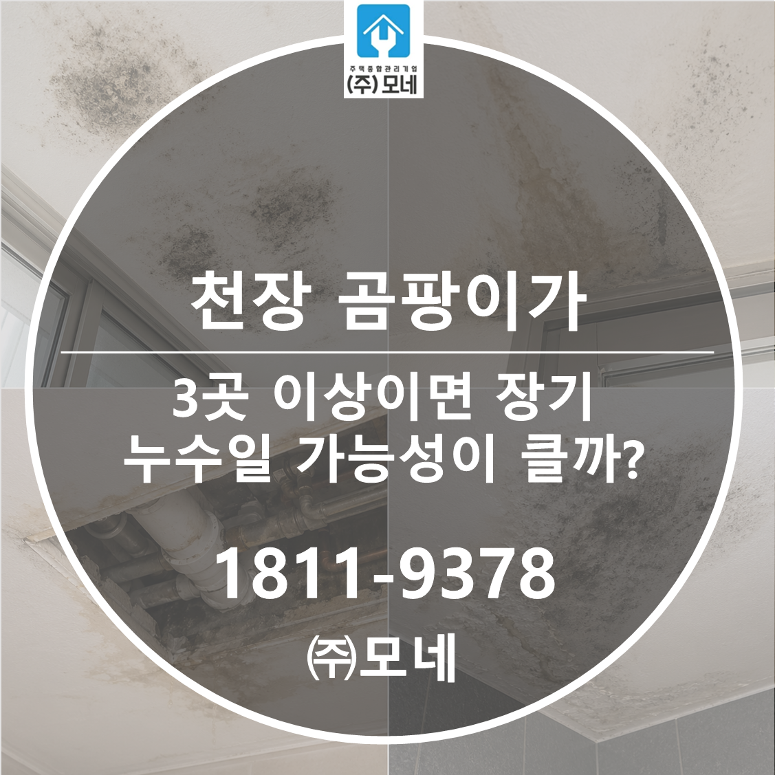 천장 곰팡이가 3곳 이상이면 장기 누수일 가능성이 클까?