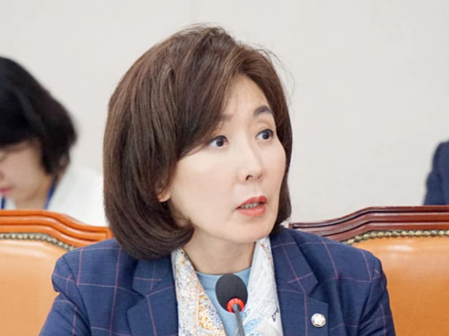 나경원 비대위원장 후보 하마평 이유 &amp;#124; 국민의힘 나경원 나이 고향 학력 딸 자녀 프로필