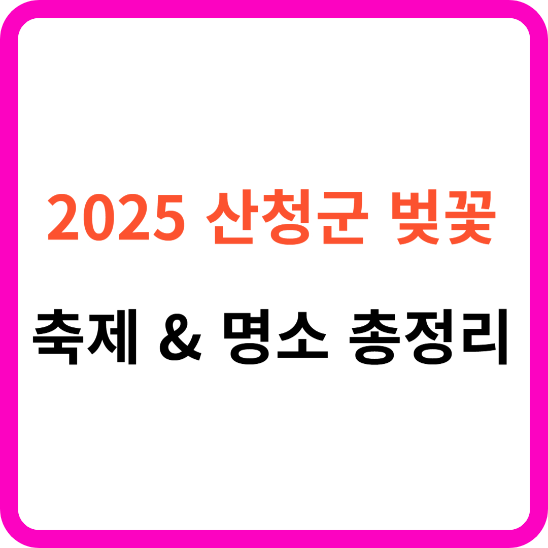 2025 산청 벚꽃 축제 & 명소 총정리