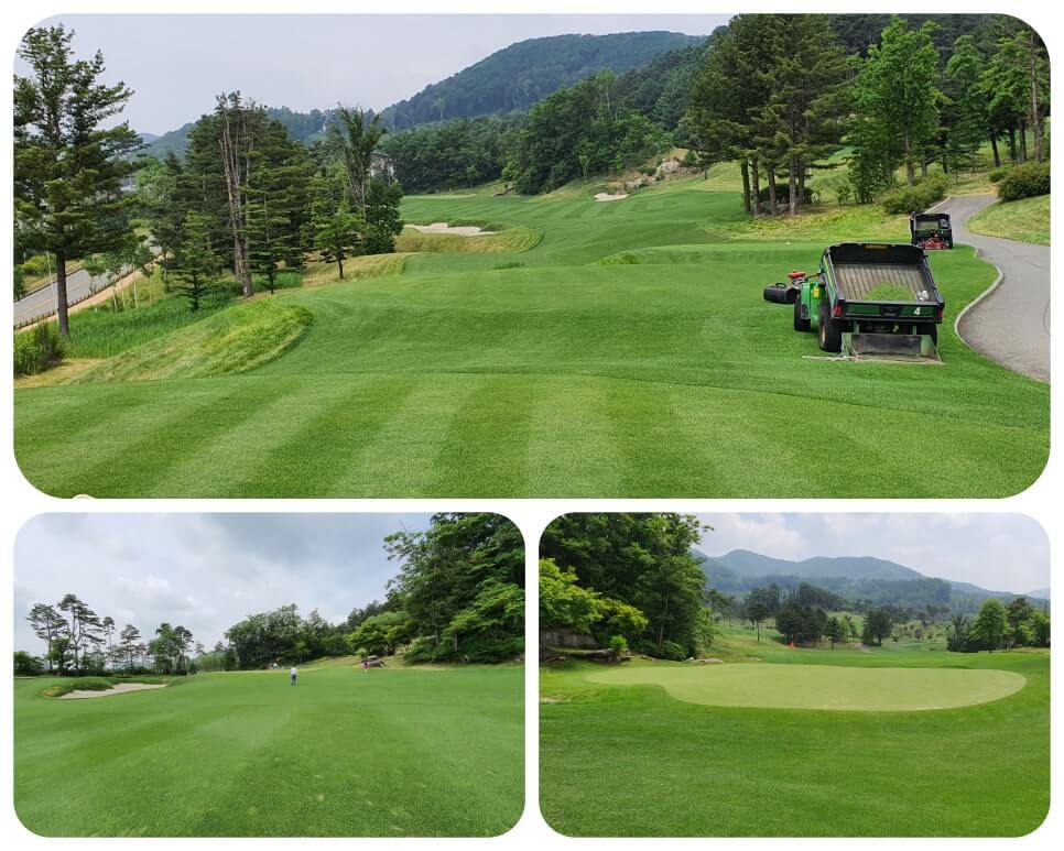 골프장 경험담 홍천 세이지우드cc 사람이 가장 쾌적함을 느끼는 해발 765m에서 경험하는 자연, 골프, 쉼