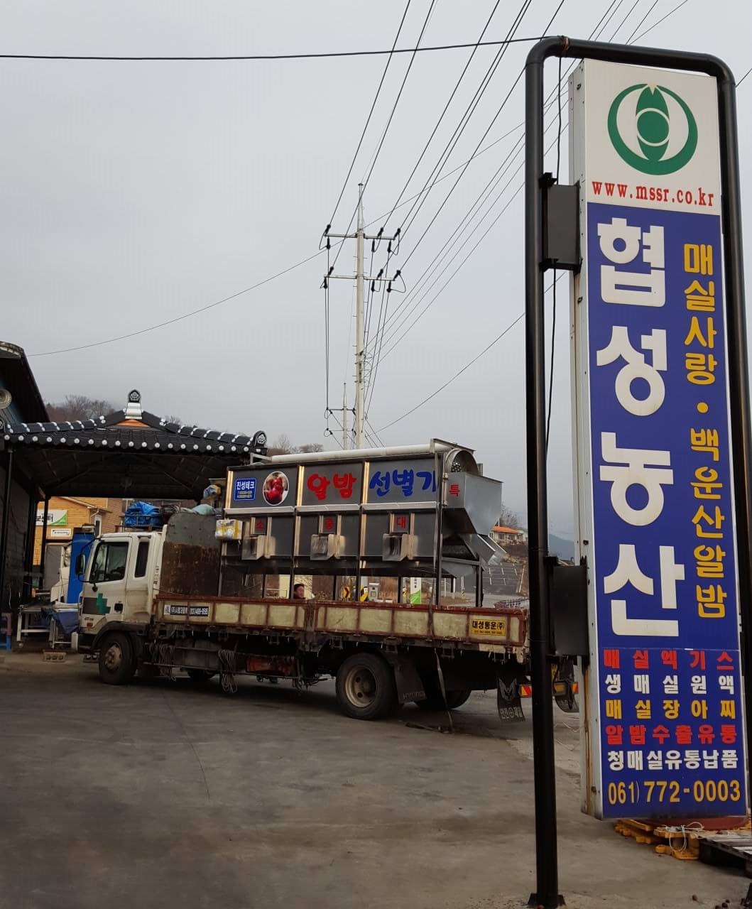 생방송투데이 3787회 이 주의 장바구니 전남 광양의 유기농 매실 전문 농장 매실사랑농원 주문방법