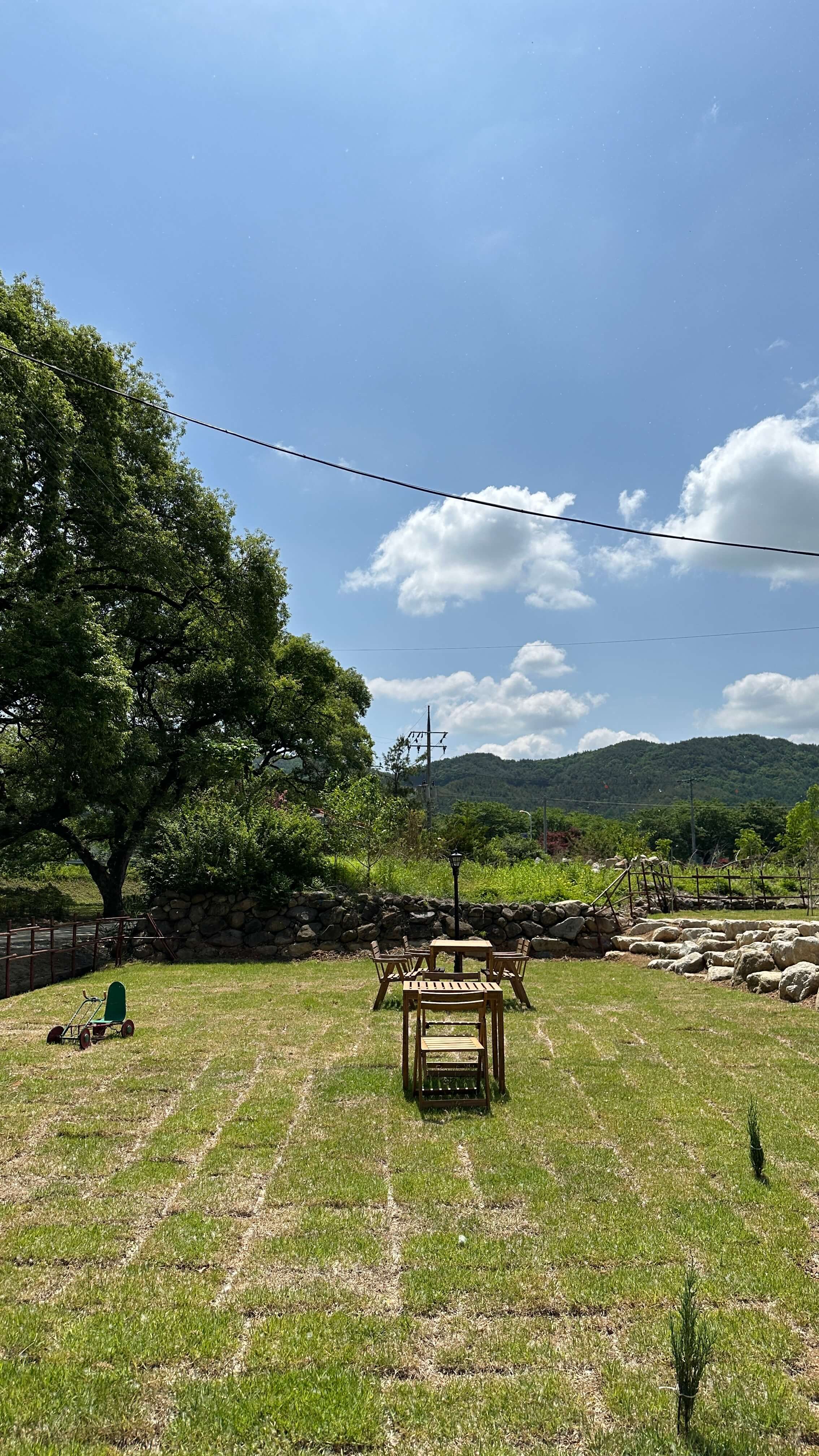 윌로우파크 커피