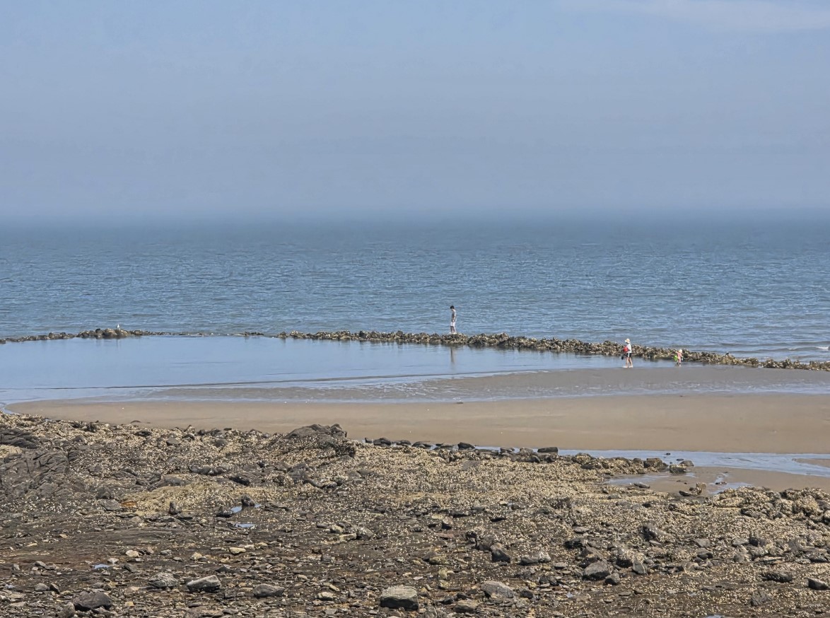 &ldquo;꾸지나무골해변에서 학암포까지&rdquo;