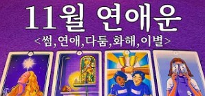 무료 연예 타로타로 맛집 정회도 타로라떼