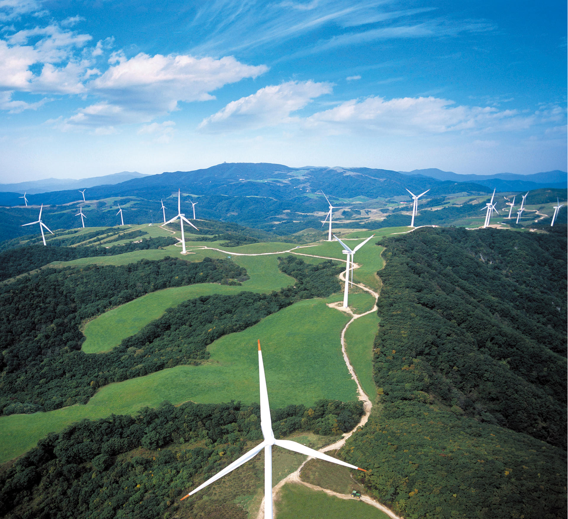 대관령 풍력단지