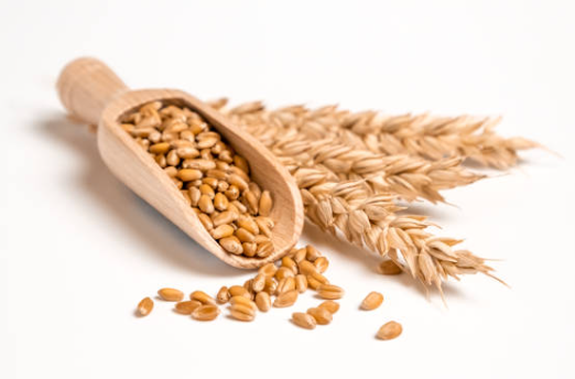 곡물 공급원 뻥튀기