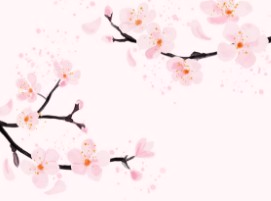 경주-벚꽃-개화시기-7