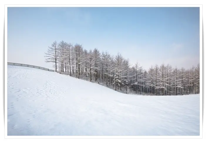 양떼목장-겨울-눈-풍경