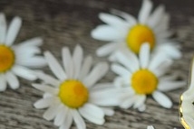 물 대신 넣어 마시면