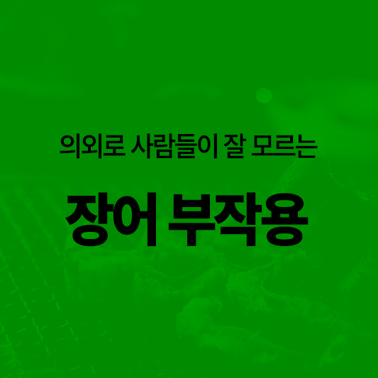 장어 효능 칼로리 부작용 알아보기