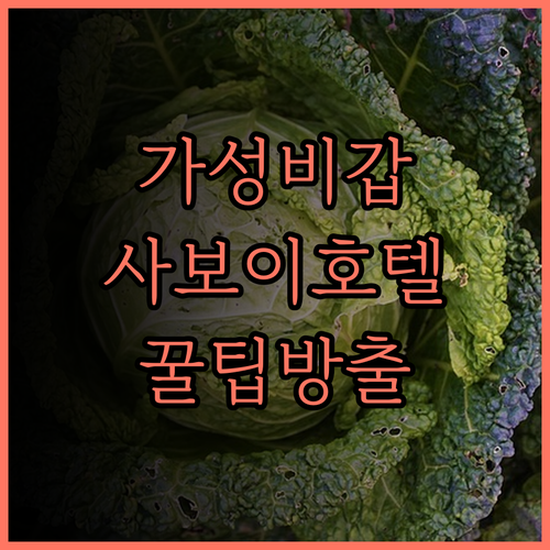가성비 끝판왕! 사보이 호텔 막탄 뉴