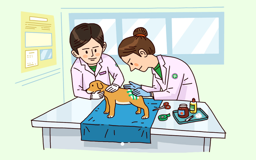 반려동물 의료비 지원