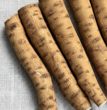 껍질 벗기지 않은 우엉 뿌리 절단한 것.