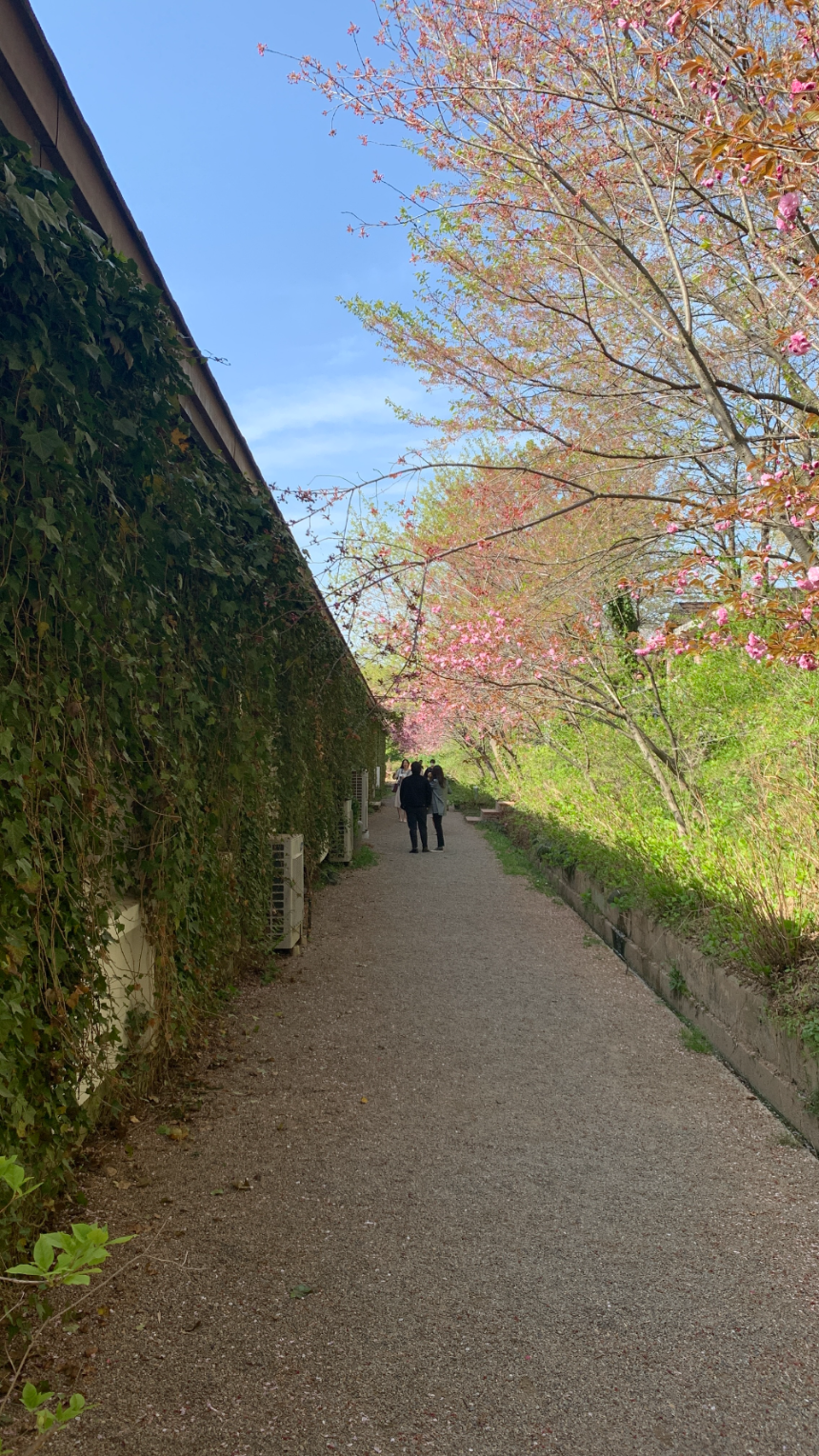 당진 아미미술관 벽면