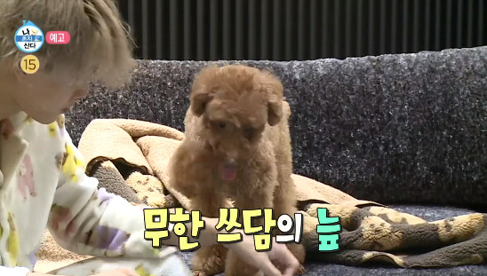 카이 집 전등