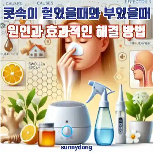 콧속이 헐었을때와 부었을때, 원인과 효과적인 해결 방법