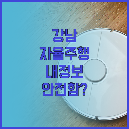 강남 자율주행 서비스 개인정보 처리방..