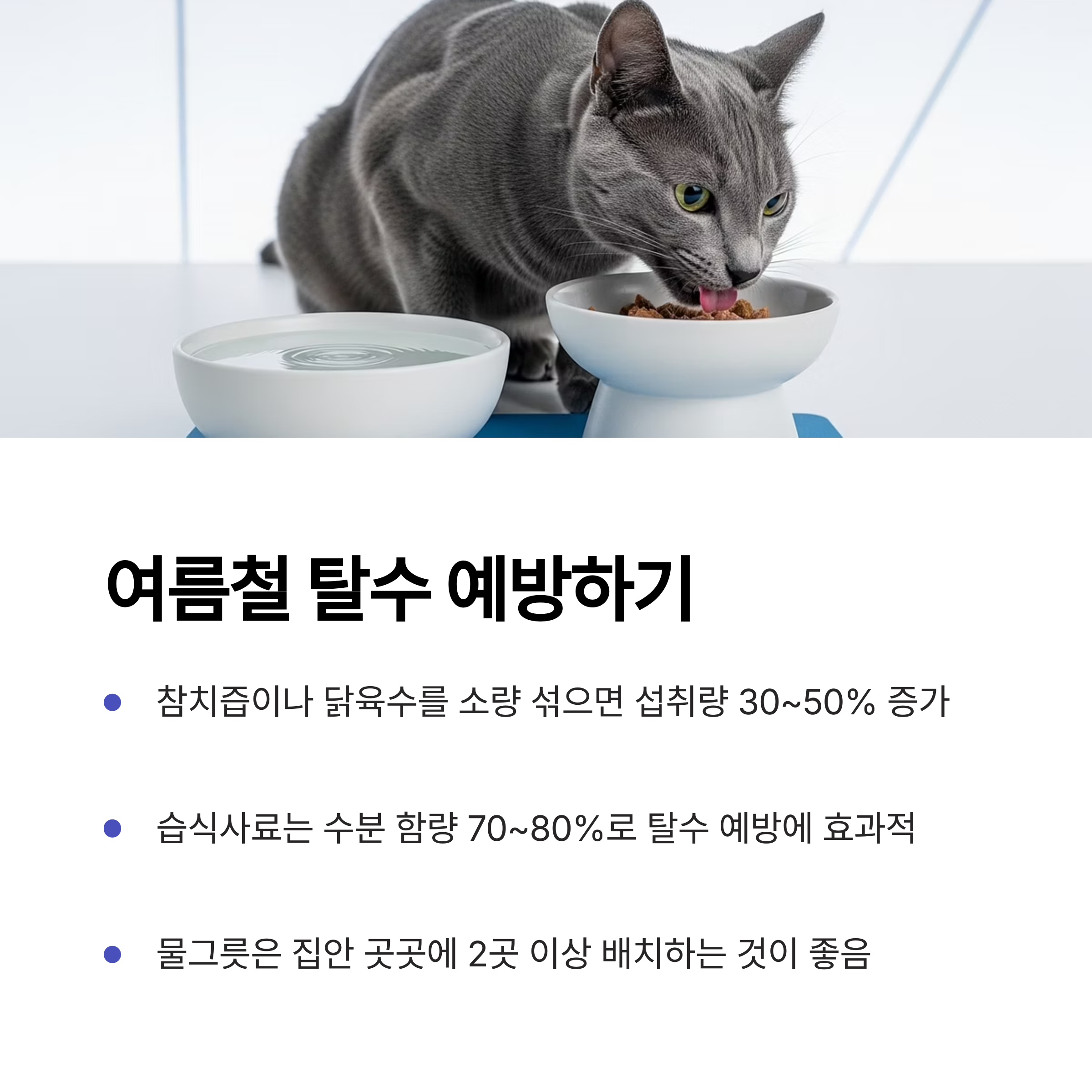 여름철 탈수 예방하기