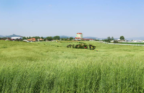 안성팜랜드 관람 정보