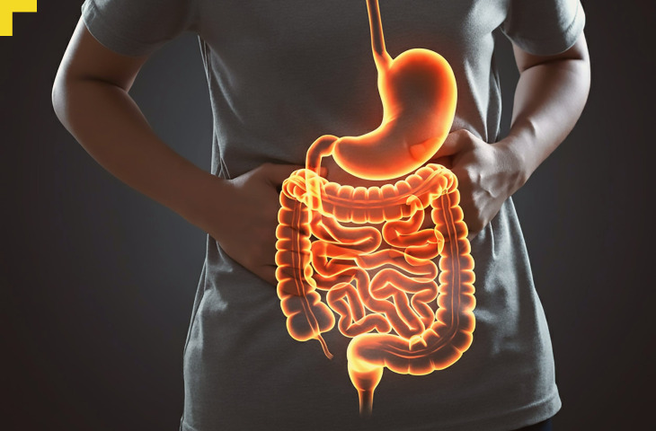 위장에 좋은 음식