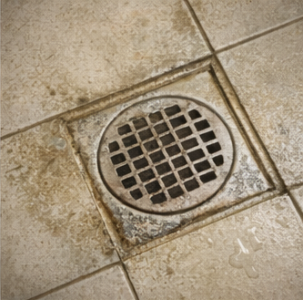 14편. 욕실 냄새가 반복되는 집에서 놓치기 쉬운 포인트