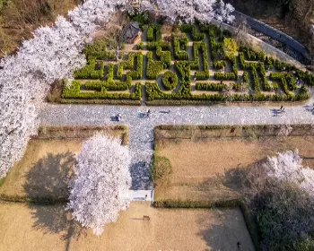 영암왕인문화축제_14