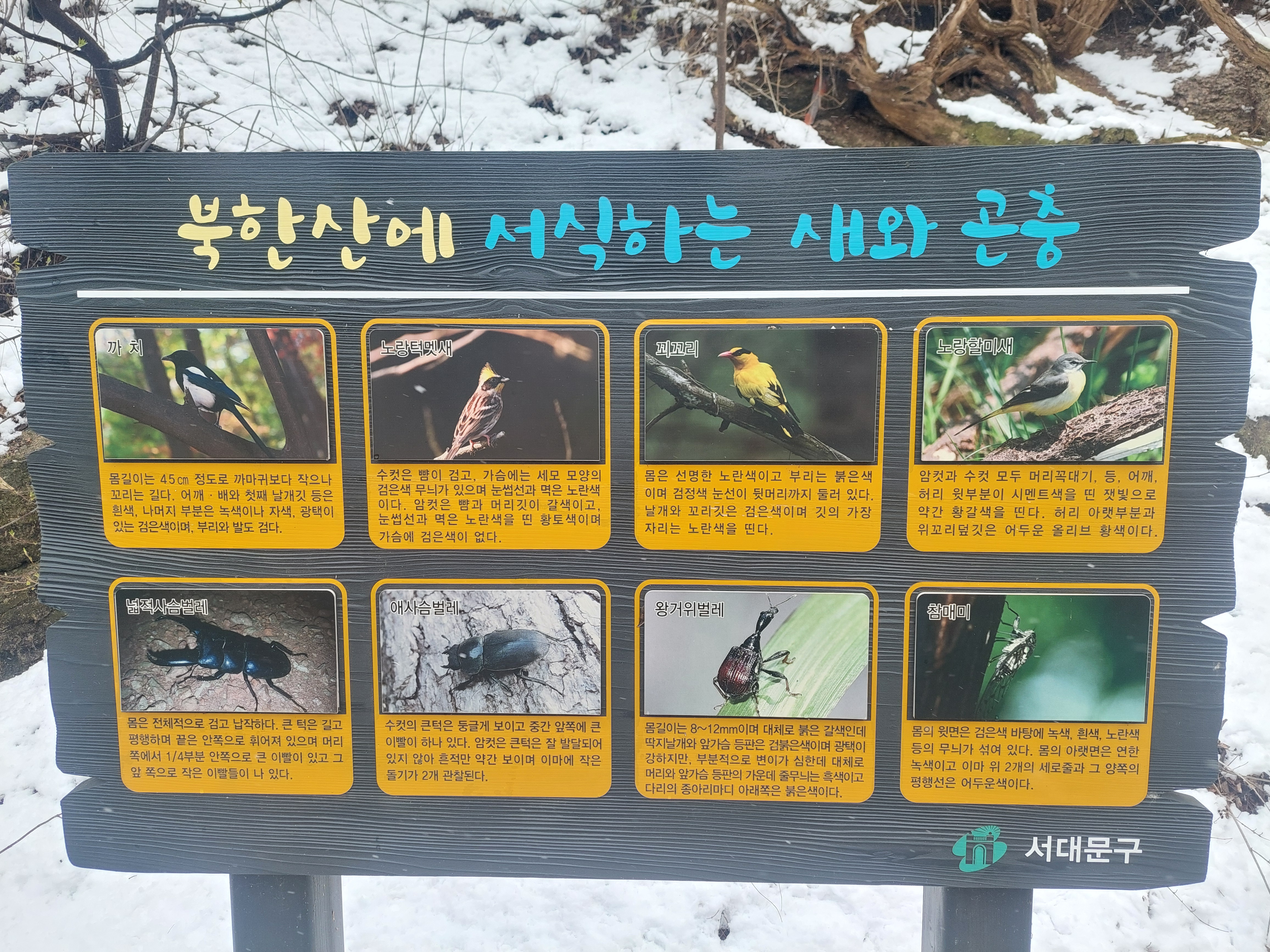 북한산 자락길