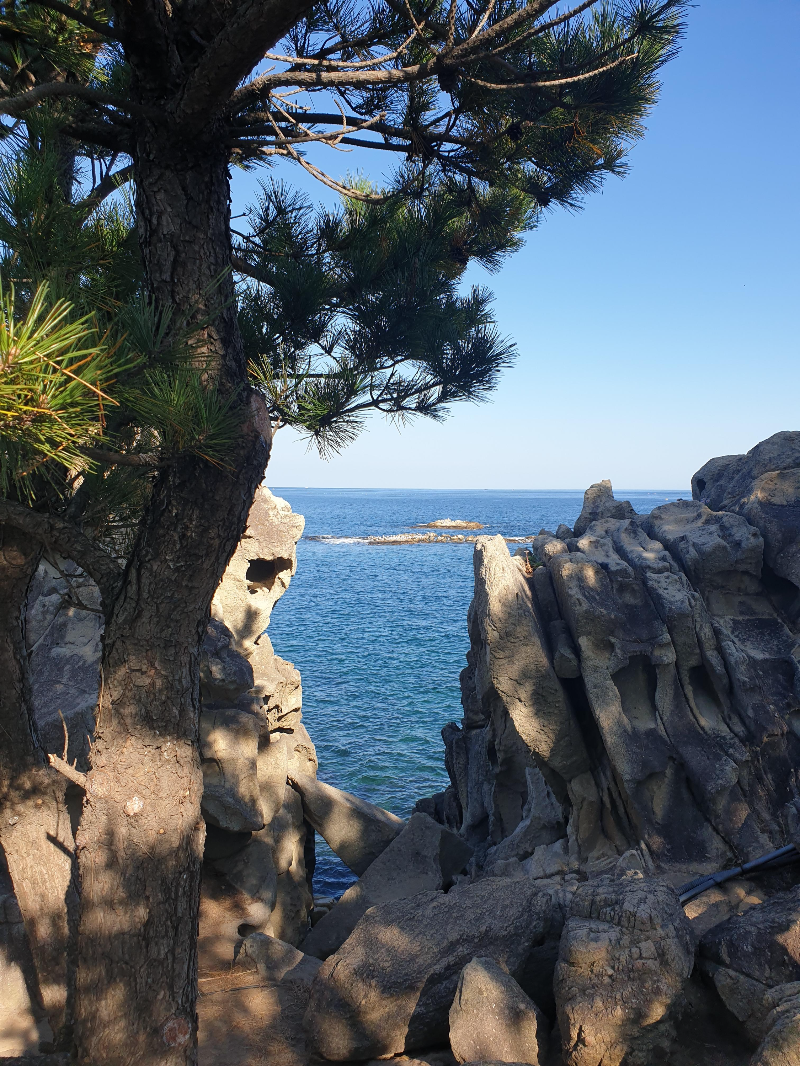 앞쪽 소남가 있고 그 뒤에 대표 포토 스폿이 있다.