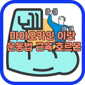 마이오카인 이란 운동법 근육 호르몬