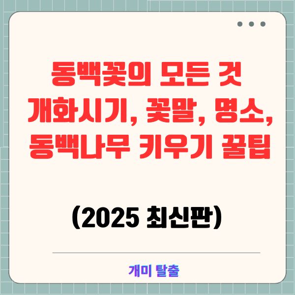 동백꽃의 모든 것: 개화시기, 꽃말, 명소, 동백나무 키우기 꿀팁(2025 최신판)