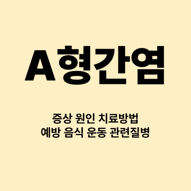 간염의 종류 A형간염 증상 원인 치료방법 예방 음식 운동 관련질병