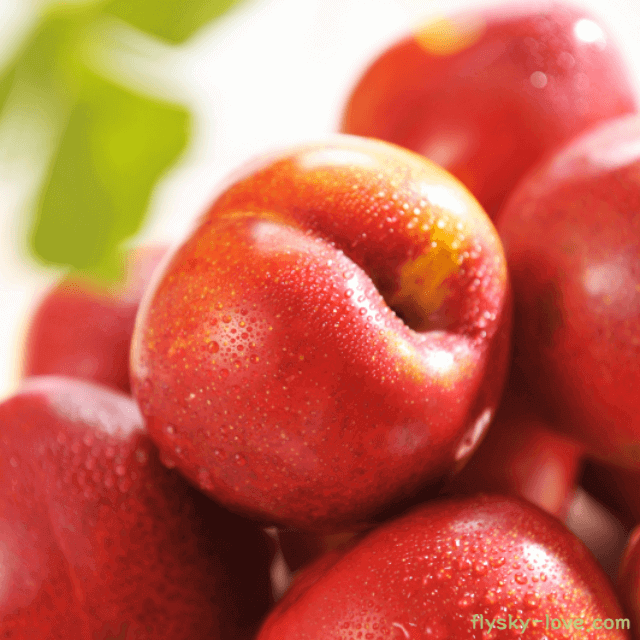 자두 고르는 법