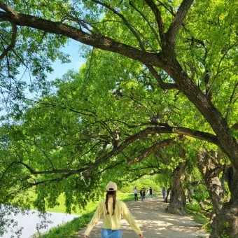 경산 가볼만한곳 베스트10 현지인 추천 필수코스_12