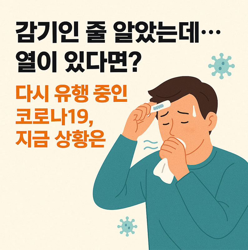 다시 유행중인 코로나 19