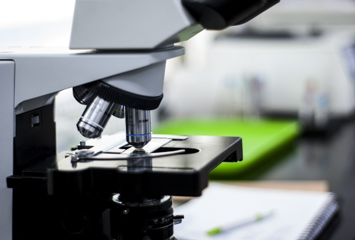 치아의 발달 과정