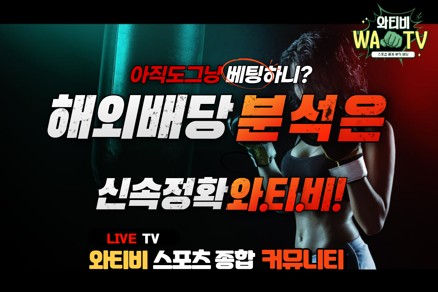 MLB해외배당 & MLB분석 & MLB중계