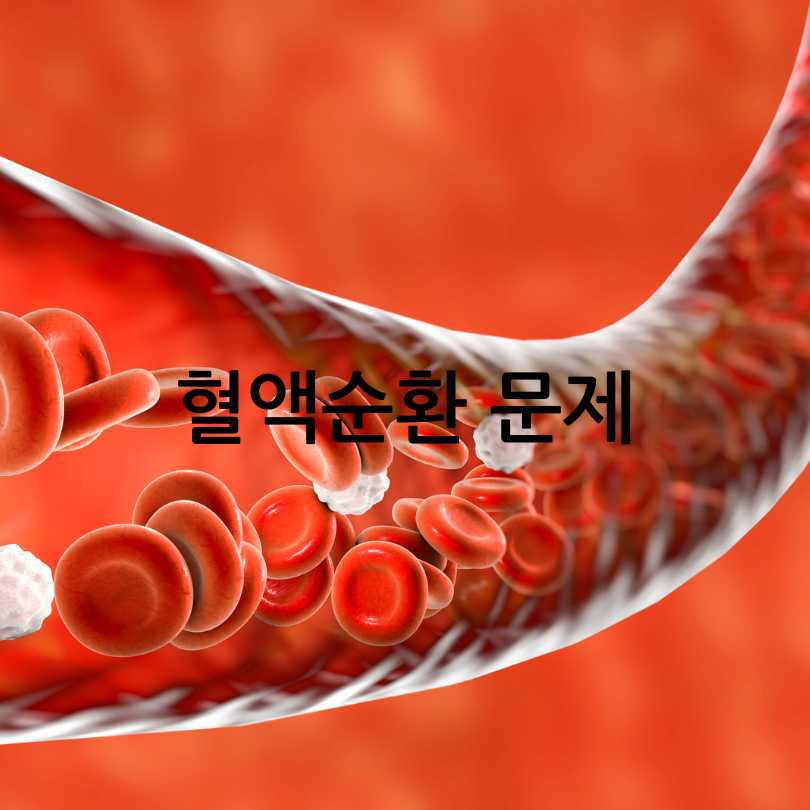 종아리 쥐나는 이유와 해결 방법