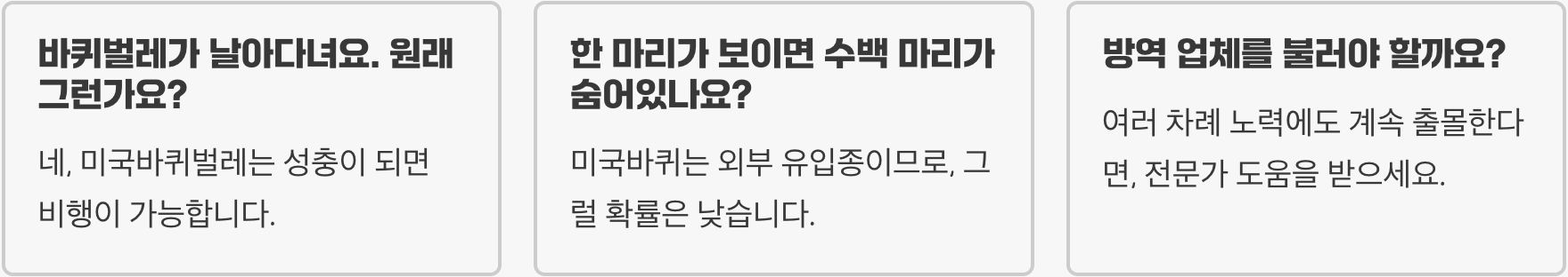 미국바퀴벌레 완벽 가이드 – 특징, 원인, 퇴치법, 예방까지 한눈에