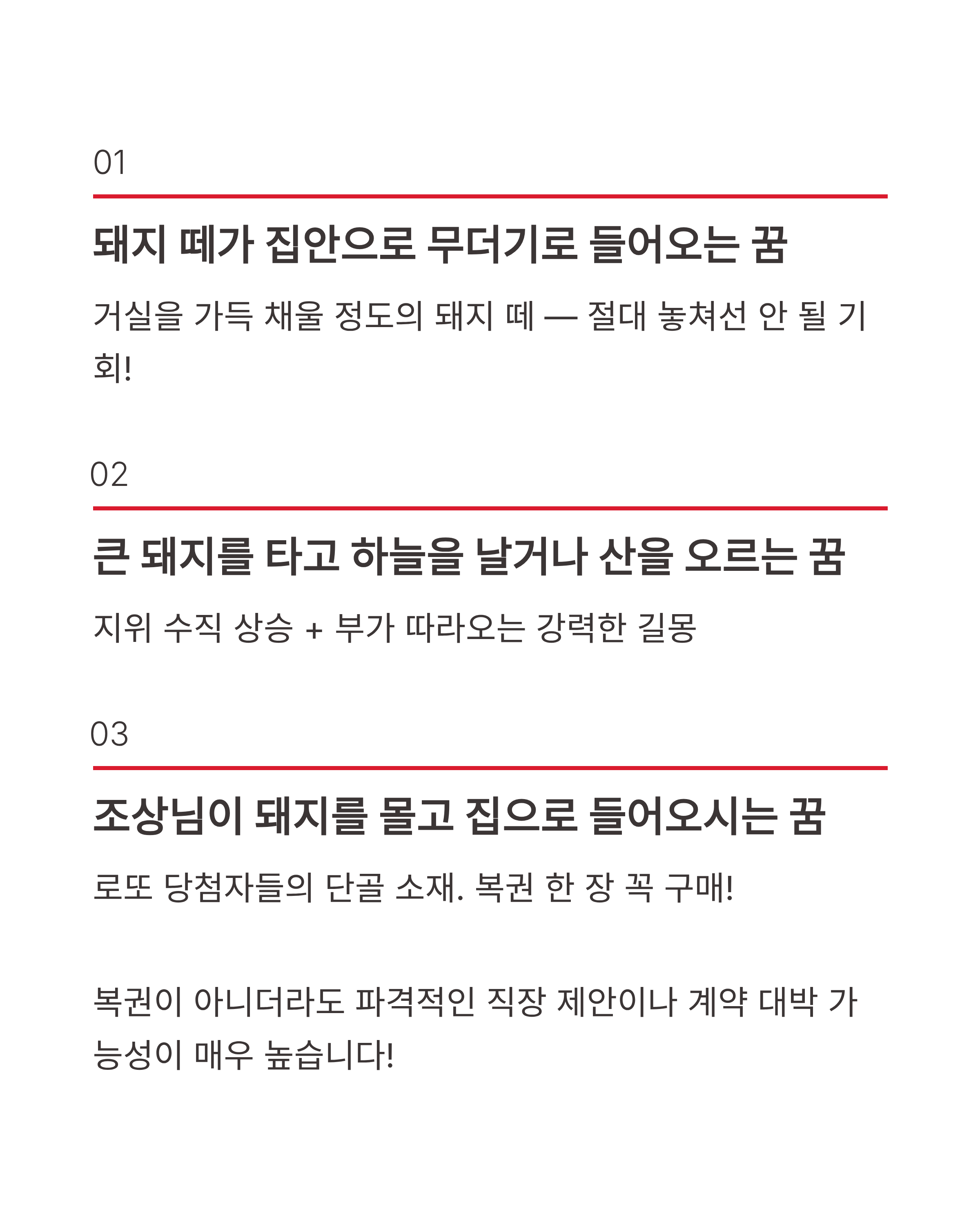 돼지 꿈 해몽 ❘ 새끼 돼지 똥 묻은 돼지 복권 당첨까지? 재물운 폭발하는 징조 총정리!