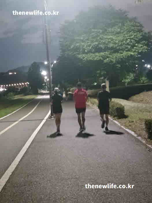 뱃살 빼는 최고의 방법 종류
